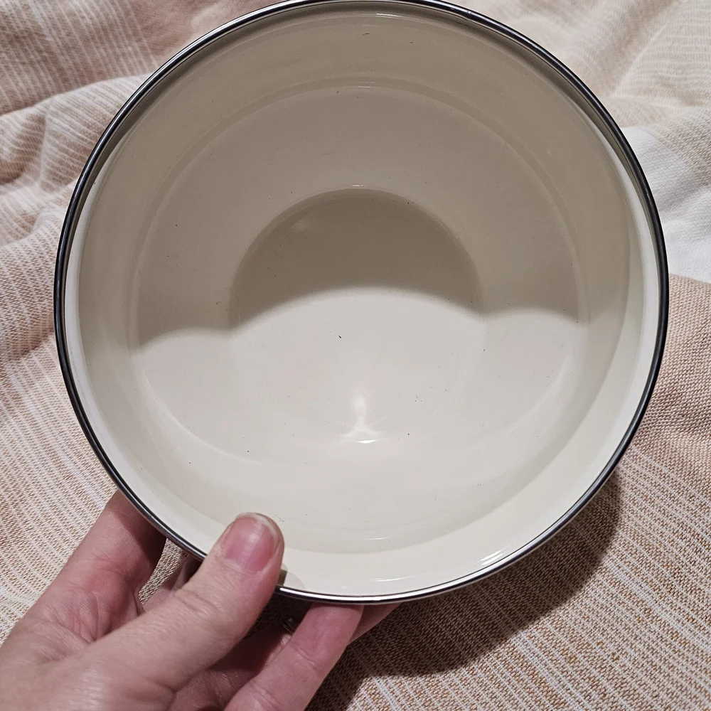 Vintage Enamel Bowl with Apple Design